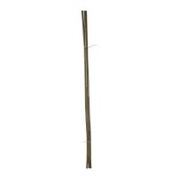 TOPTRADE tyč bambusová, O 12 - 14 mm x 120 cm, sada 5 ks